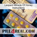 Leopard Miracle Of Honey Instructions new06